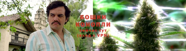 сатива Каменногорск