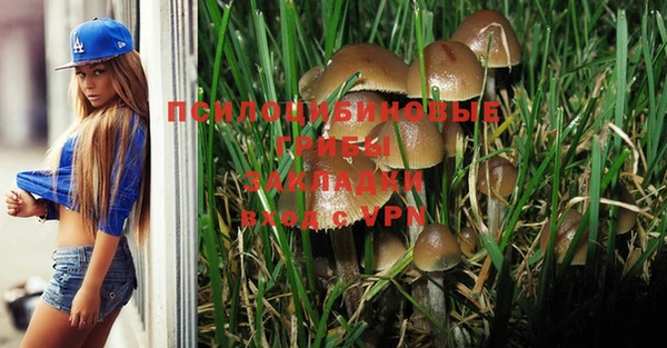 мет Каменка