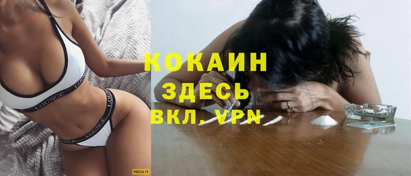 сатива Каменногорск