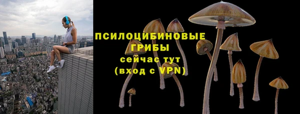 сатива Каменногорск