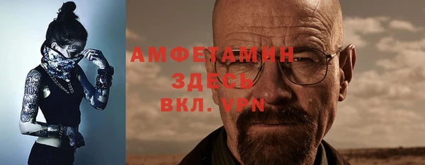 сатива Каменногорск