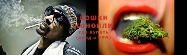 сатива Каменногорск