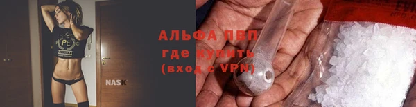 сатива Каменногорск