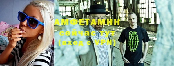 сатива Каменногорск